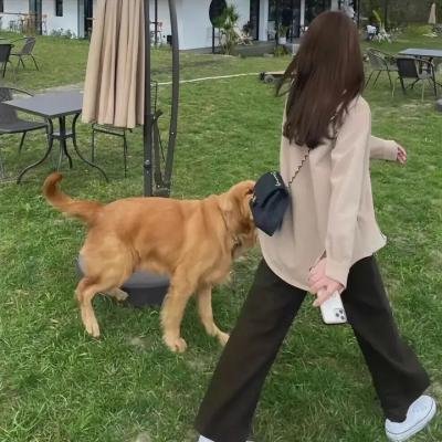 克星 在线观看