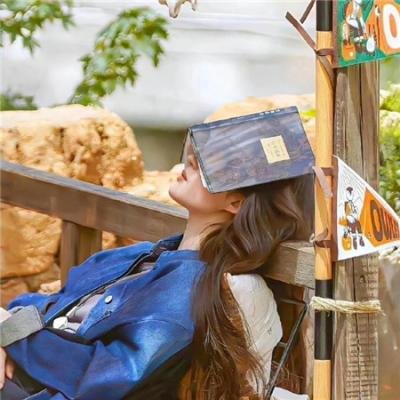 狗仔窥视界 在线观看